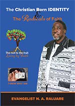 The Christian Born Identity cover